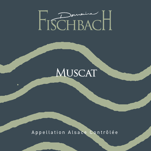 MUSCAT - FISCHBACH