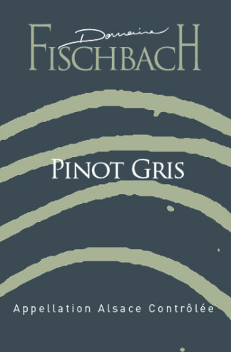 PINOT GRIS - FISCHBACH