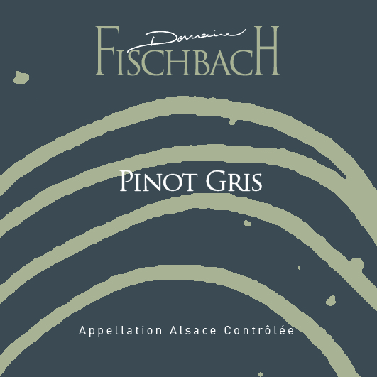 PINOT GRIS - FISCHBACH